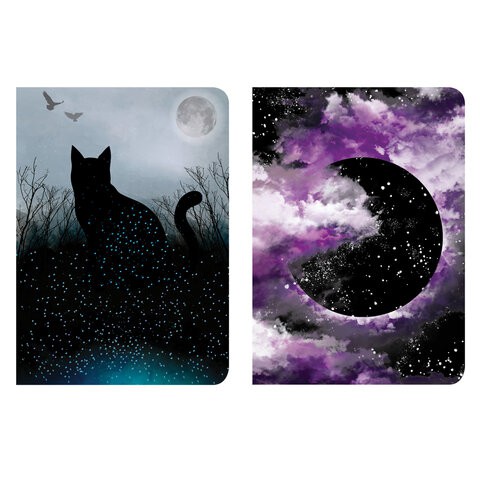 Тетради В5 Brauberg SoftTouch Cosmos 60 листов, клетка (2 шт) 403821 цена за 2 шт , 